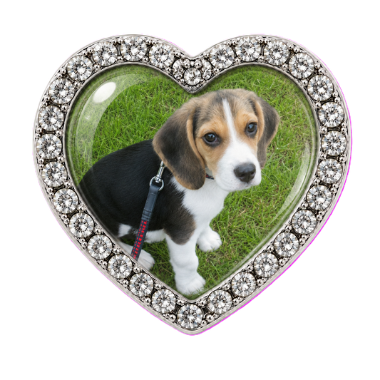 Custom Dog Photo Sneaker Charm