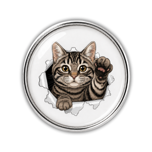 Tabby Cat Burst Sneaker Charm
