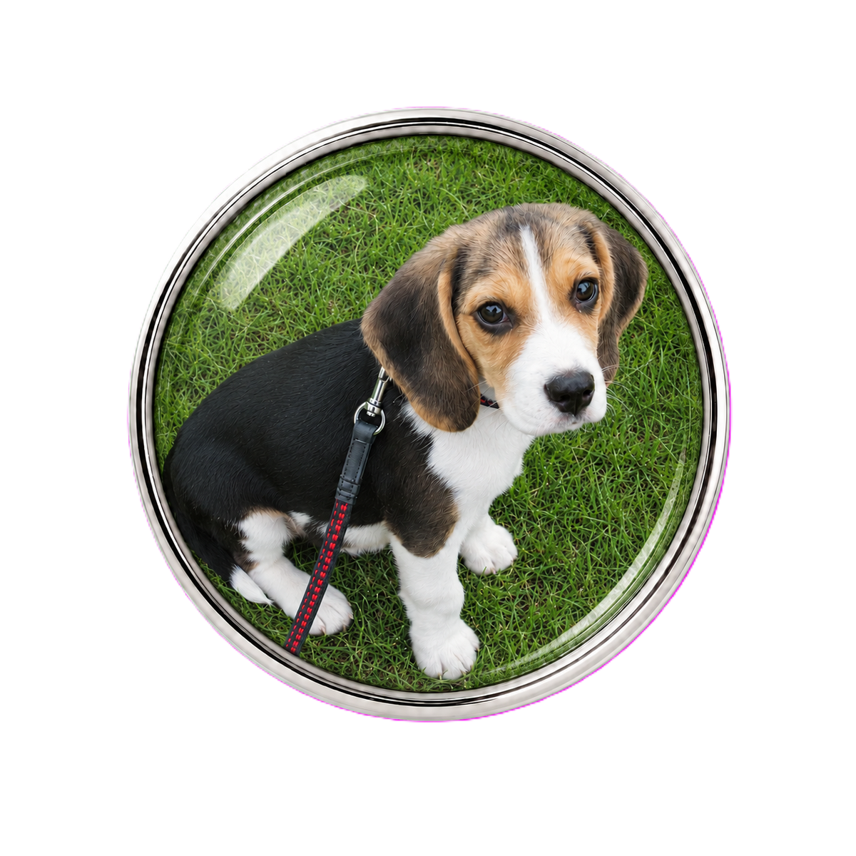 Custom Dog Photo Sneaker Charm – Personalized Dog Charm