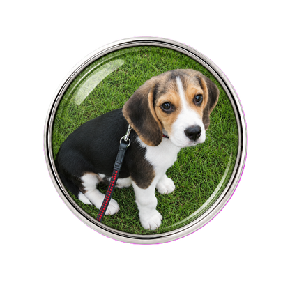 Custom Dog Photo Sneaker Charm – Personalized Dog Charm