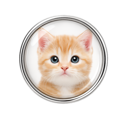 Custom Cat Photo Sneaker Charm – Personalized Cat Charm