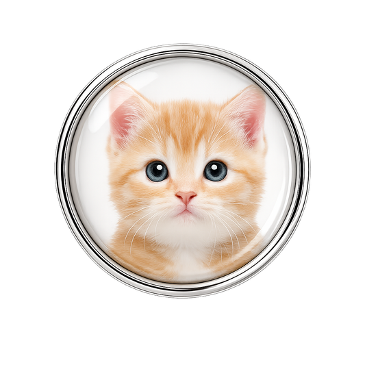 Custom Cat Photo Sneaker Charm