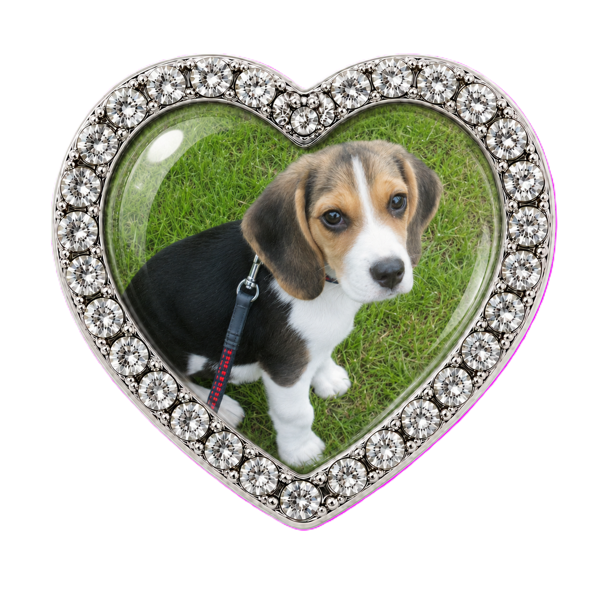 Custom Dog Photo Sneaker Charm – Personalized Dog Charm