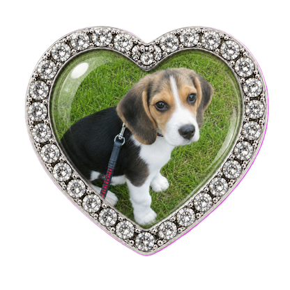 Custom Dog Photo Sneaker Charm – Personalized Dog Charm