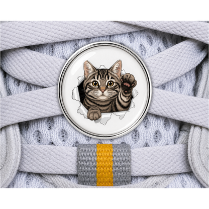 Tabby Cat Burst Sneaker Charm