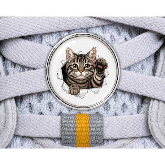 Tabby Cat Burst Sneaker Charm