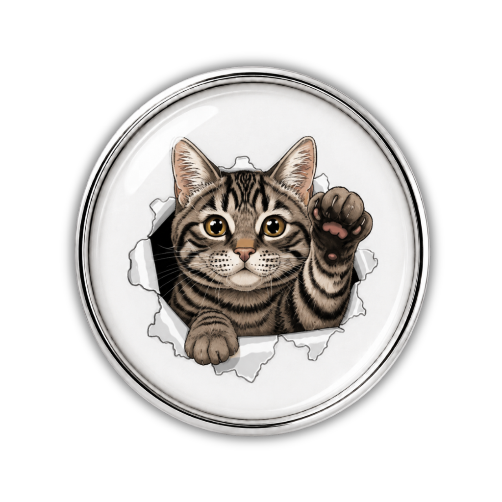Tabby Cat Burst Sneaker Charm