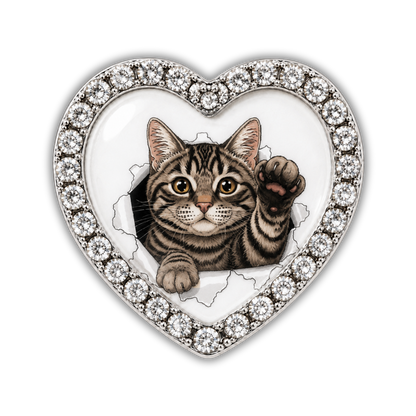 Tabby Cat Burst Sneaker Charm