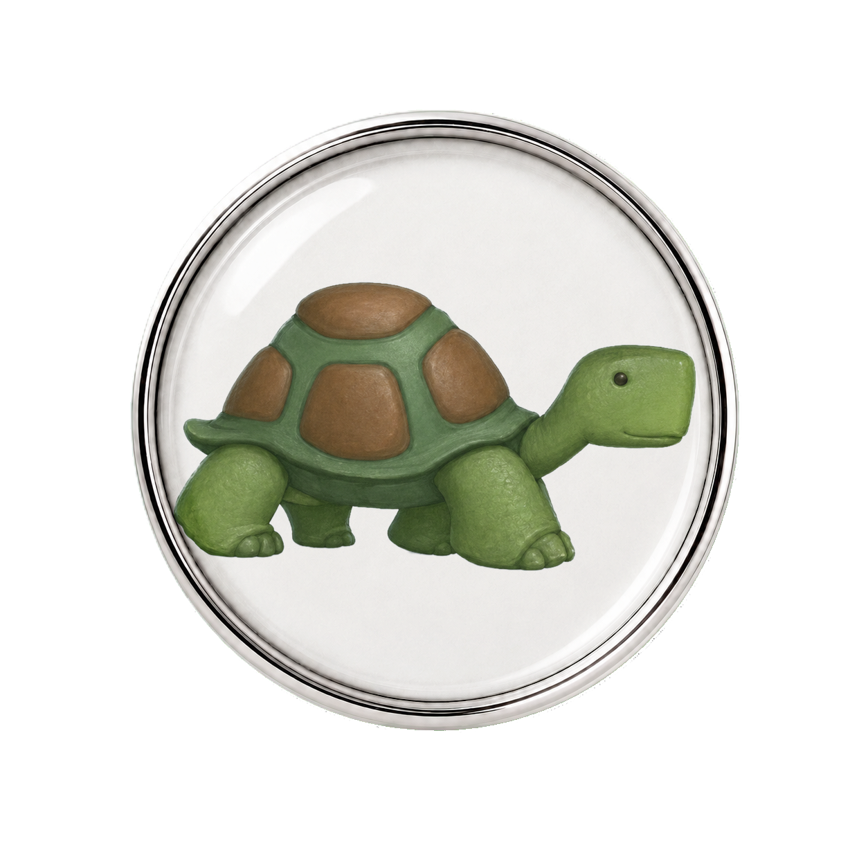 Tortoise Sneaker Charm