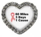 60 Miles Heart 3 Days 1 Cause