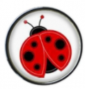 Ladybug Circle