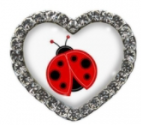 Ladybug Heart