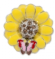 Yellow Sunflower