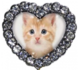 Custom Cat Heart