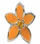 Orange Flower