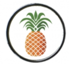 Pineapple Circle